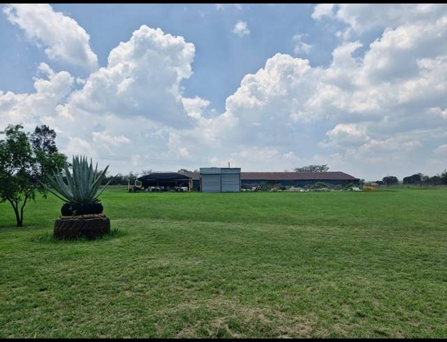 FARM FOR SALE IN MNANDI
